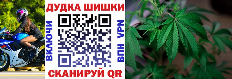 Купить закладки  Нолинск  Каннабис конопля 